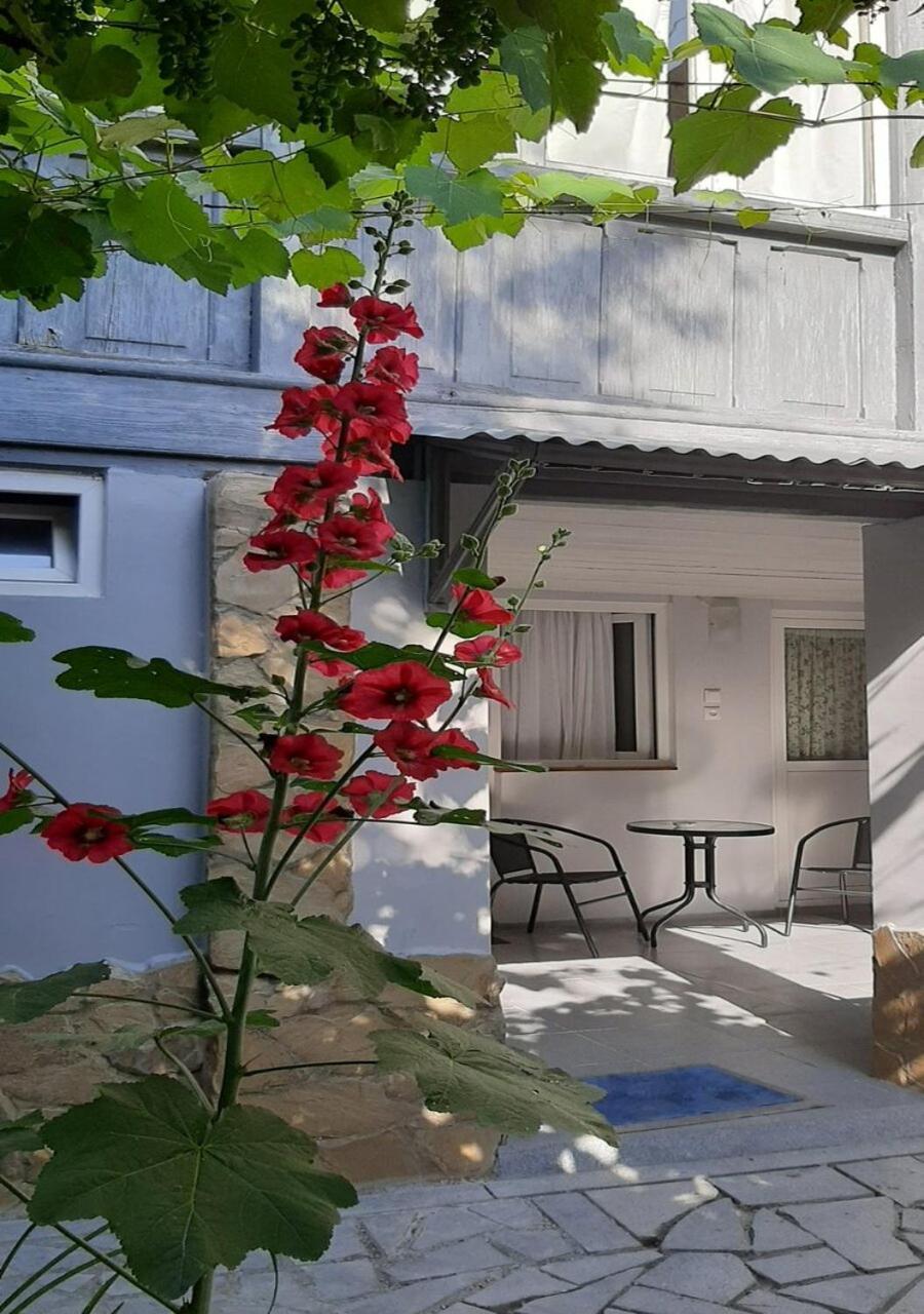 Beso-House Apartment Borjomi Ngoại thất bức ảnh