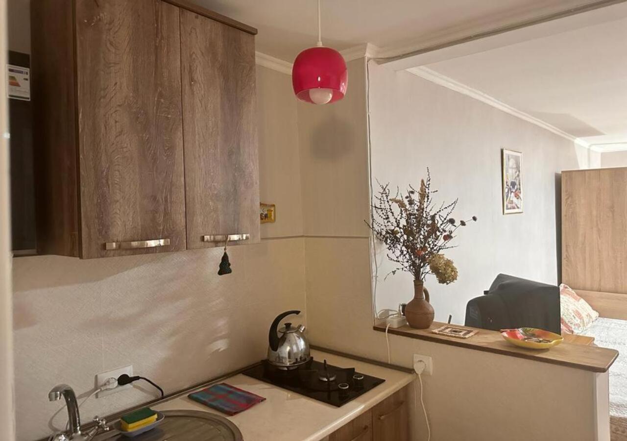 Beso-House Apartment Borjomi Ngoại thất bức ảnh