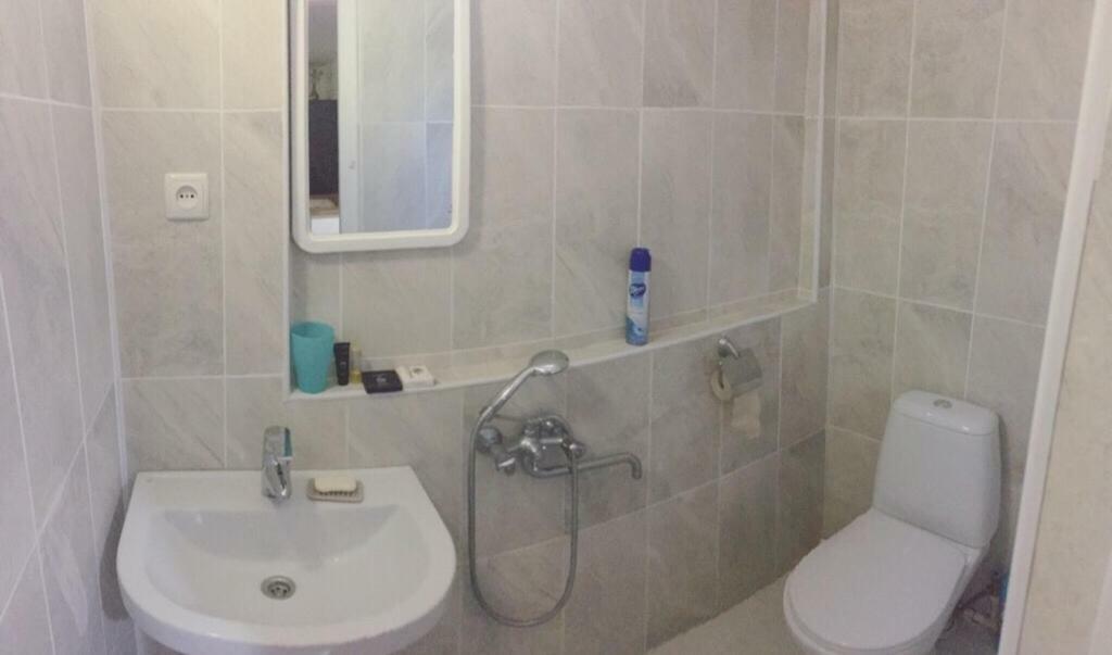 Beso-House Apartment Borjomi Ngoại thất bức ảnh